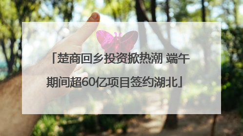 楚商回乡投资掀热潮 端午期间超60亿项目签约湖北