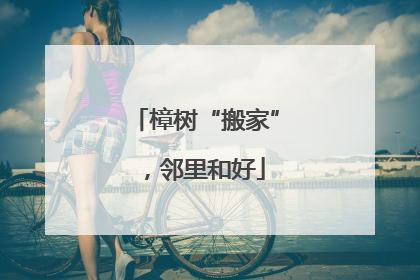 樟树“搬家”，邻里和好