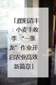 濮阳清丰：小麦丰收季 “一条龙”作业开启农业高效新篇章