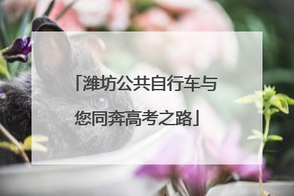 潍坊公共自行车与您同奔高考之路