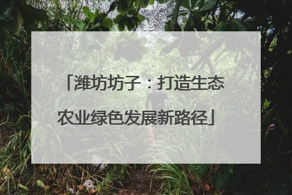 潍坊坊子：打造生态农业绿色发展新路径