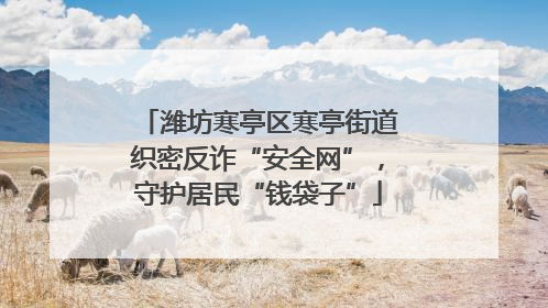 潍坊寒亭区寒亭街道织密反诈“安全网”，守护居民“钱袋子”