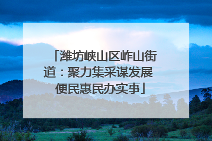 潍坊峡山区岞山街道：聚力集采谋发展 便民惠民办实事