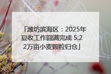 潍坊滨海区：2025年夏收工作圆满完成 5.22万亩小麦颗粒归仓