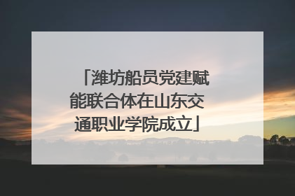 潍坊船员党建赋能联合体在山东交通职业学院成立