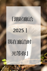 潮起廊洽2025丨我在廊洽时光等你