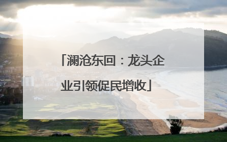 澜沧东回：龙头企业引领促民增收