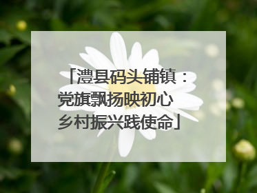 澧县码头铺镇：党旗飘扬映初心 乡村振兴践使命