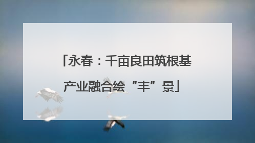 永春：千亩良田筑根基 产业融合绘“丰”景