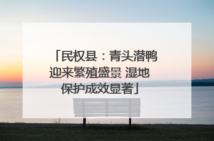 民权县：青头潜鸭迎来繁殖盛景 湿地保护成效显著