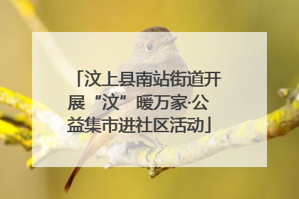 汶上县南站街道开展“汶”暖万家·公益集市进社区活动