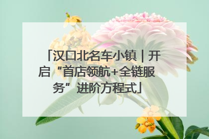 汉口北名车小镇｜开启“首店领航+全链服务”进阶方程式