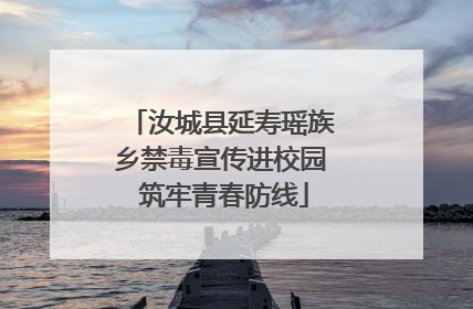 汝城县延寿瑶族乡禁毒宣传进校园 筑牢青春防线