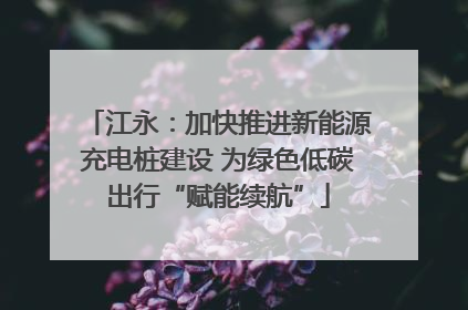 江永：加快推进新能源充电桩建设 为绿色低碳出行“赋能续航”