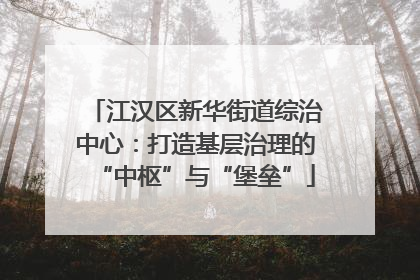 江汉区新华街道综治中心：打造基层治理的“中枢”与“堡垒”