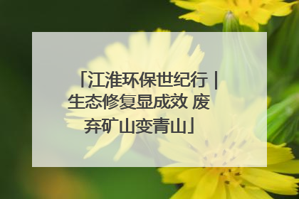 江淮环保世纪行｜生态修复显成效 废弃矿山变青山