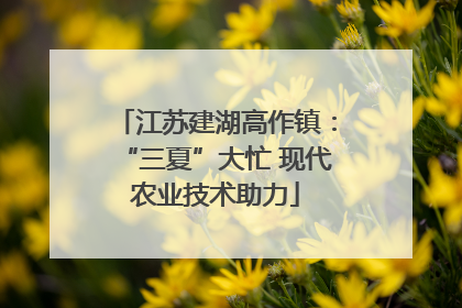 江苏建湖高作镇：“三夏”大忙 现代农业技术助力