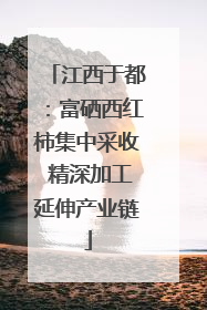 江西于都：富硒西红柿集中采收 精深加工延伸产业链