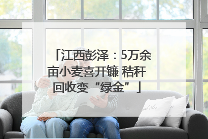 江西彭泽：5万余亩小麦喜开镰 秸秆回收变“绿金”