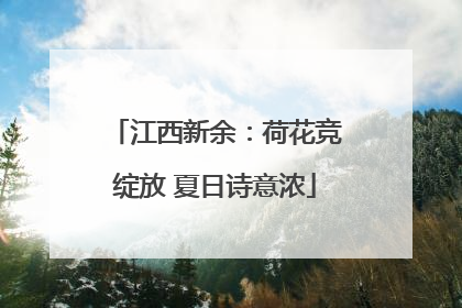 江西新余：荷花竞绽放 夏日诗意浓
