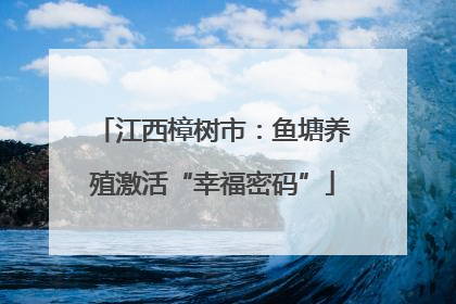 江西樟树市：鱼塘养殖激活“幸福密码”