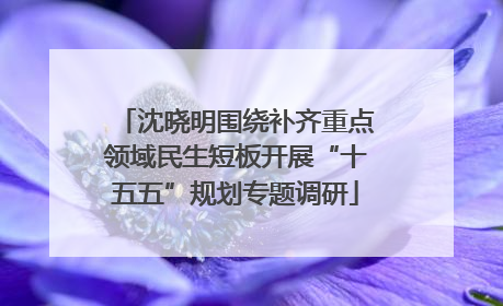 沈晓明围绕补齐重点领域民生短板开展“十五五”规划专题调研