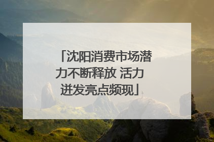 沈阳消费市场潜力不断释放 活力迸发亮点频现