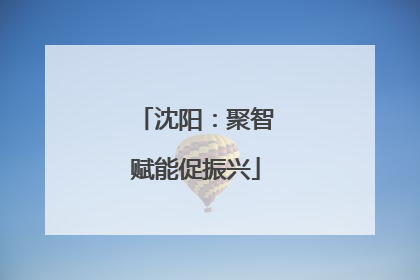 沈阳：聚智赋能促振兴