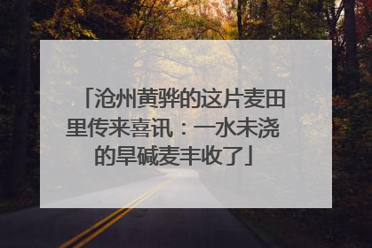 沧州黄骅的这片麦田里传来喜讯：一水未浇的旱碱麦丰收了