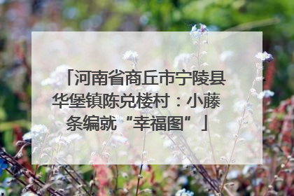 河南省商丘市宁陵县华堡镇陈兑楼村：小藤条编就“幸福图”