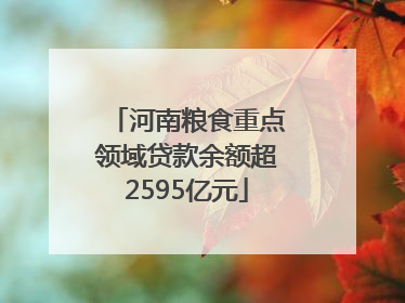 河南粮食重点领域贷款余额超2595亿元