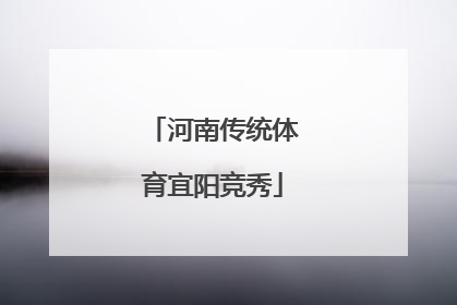 河南传统体育宜阳竞秀