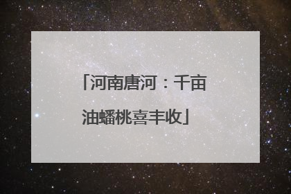 河南唐河：千亩油蟠桃喜丰收