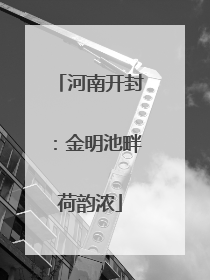 河南开封：金明池畔荷韵浓