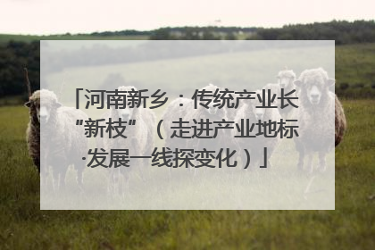河南新乡：传统产业长“新枝”（走进产业地标·发展一线探变化）