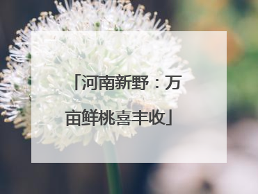 河南新野：万亩鲜桃喜丰收