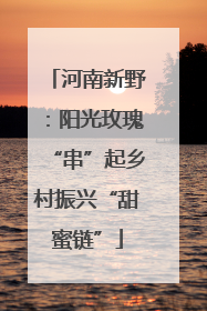 河南新野：阳光玫瑰“串”起乡村振兴“甜蜜链”