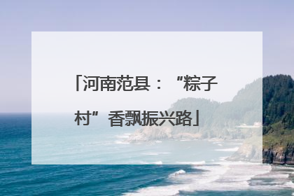河南范县：“粽子村”香飘振兴路