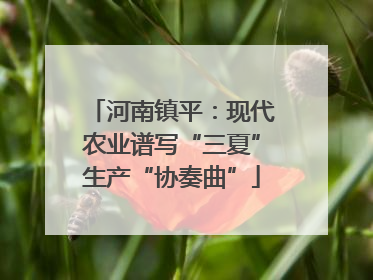 河南镇平：现代农业谱写“三夏”生产“协奏曲”