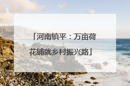 河南镇平：万亩荷花铺就乡村振兴路