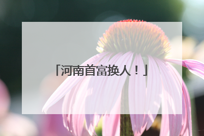 河南首富换人！