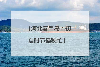 河北秦皇岛：初夏时节插秧忙