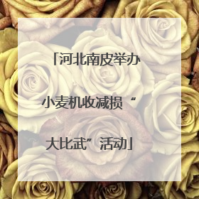 河北南皮举办小麦机收减损“大比武”活动