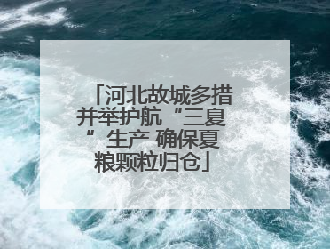 河北故城多措并举护航“三夏”生产 确保夏粮颗粒归仓