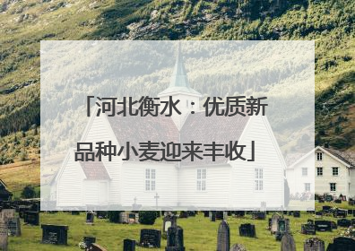 河北衡水：优质新品种小麦迎来丰收