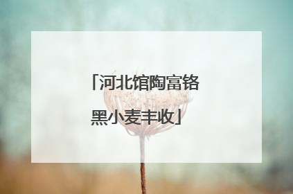 河北馆陶富铬黑小麦丰收