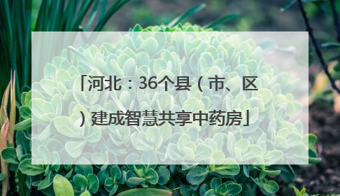 河北：36个县（市、区）建成智慧共享中药房