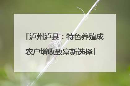 泸州泸县：特色养殖成农户增收致富新选择