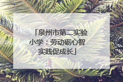 泉州市第二实验小学：劳动砺心智实践促成长