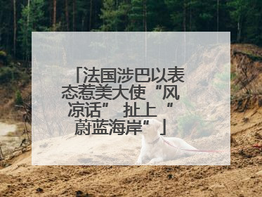 法国涉巴以表态惹美大使“风凉话” 扯上“蔚蓝海岸”